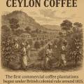 The Revival of Ceylon Coffee: A Legacy Reborn